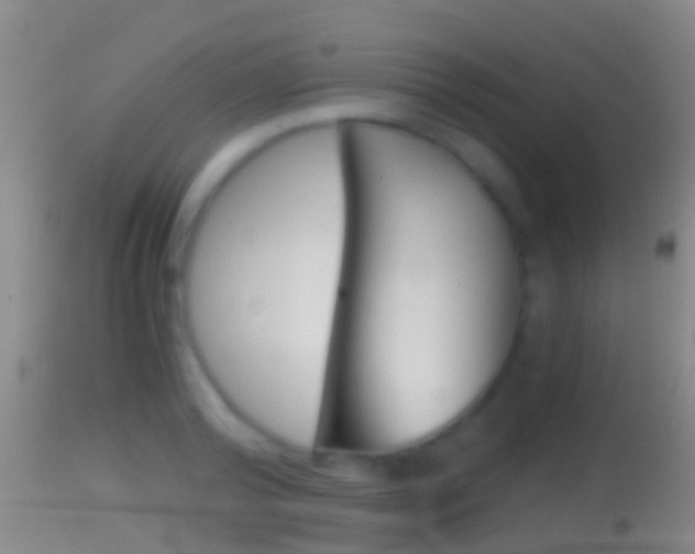 X0000114390792200910161031