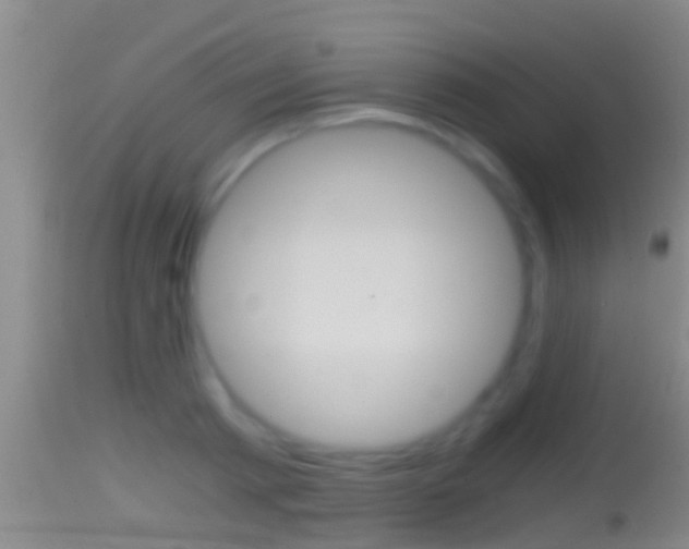 X0000114390793200910161031
