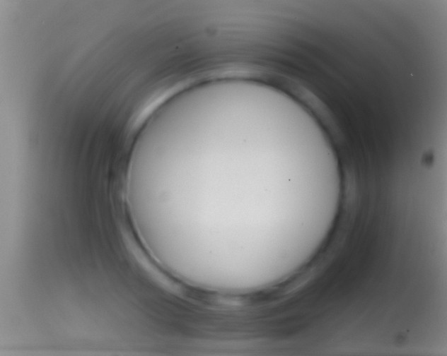 X0000114390794200910161031