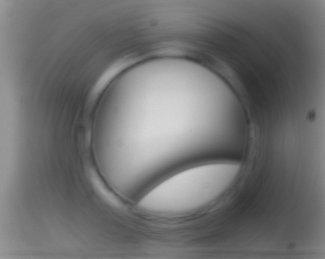 X0000114390795200910161031