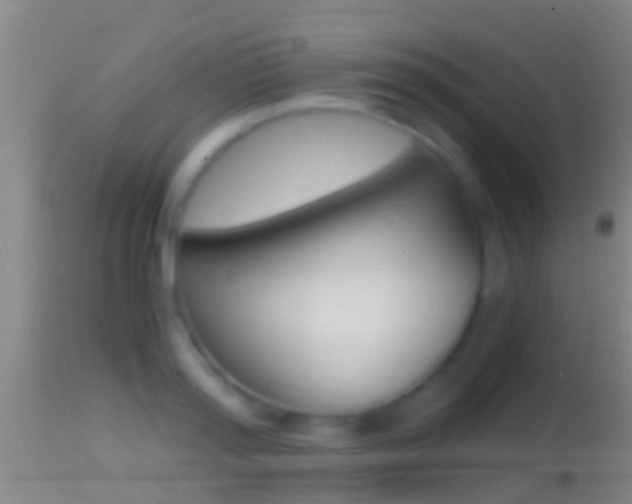 X0000114390796200910161031