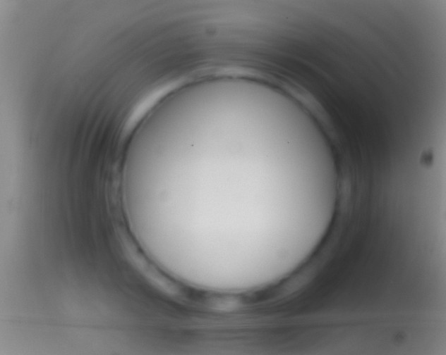 X0000114390798200910161031