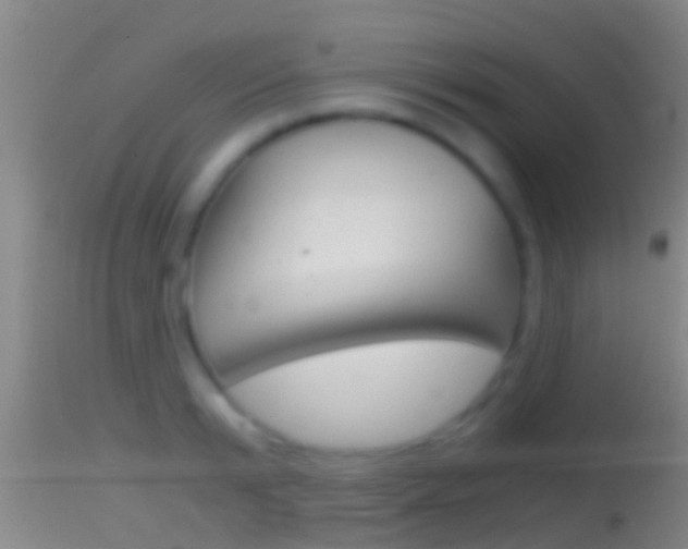 X0000114390799200910161031
