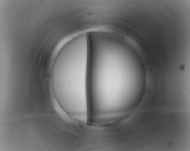 X0000114390800200910161031