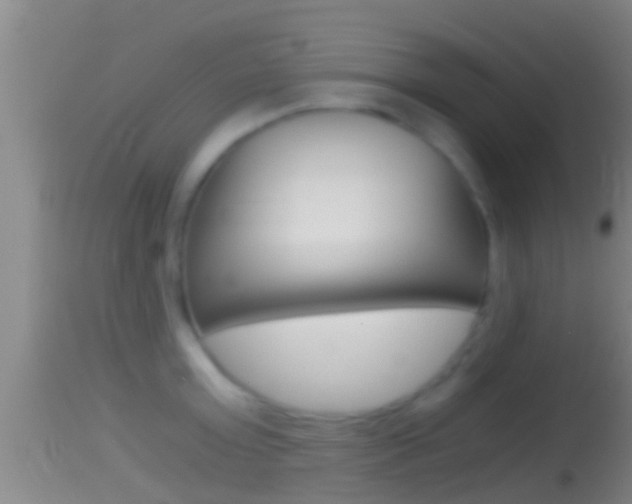 X0000114390803200910161031