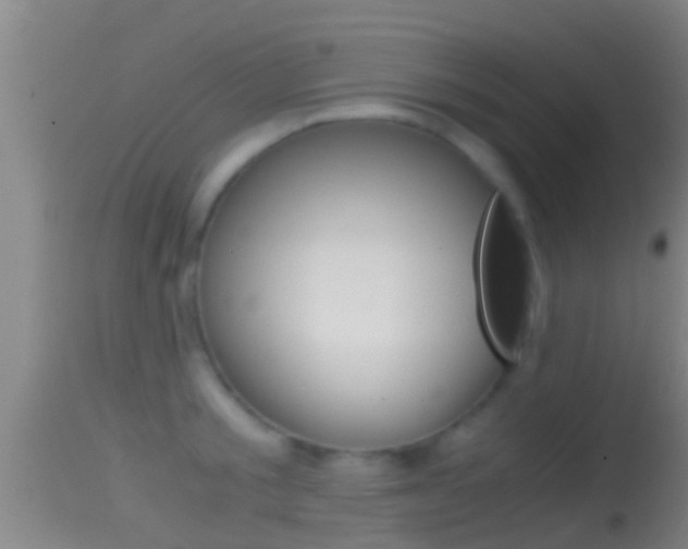 X0000114390805200910161031