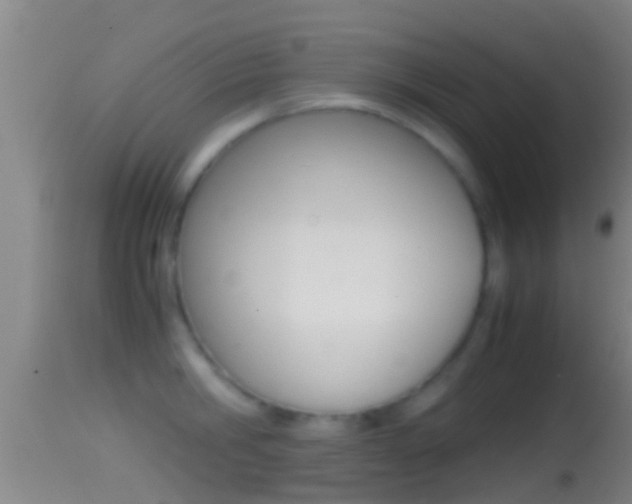X0000114390806200910161031
