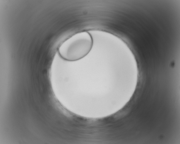X0000114390807200910161031