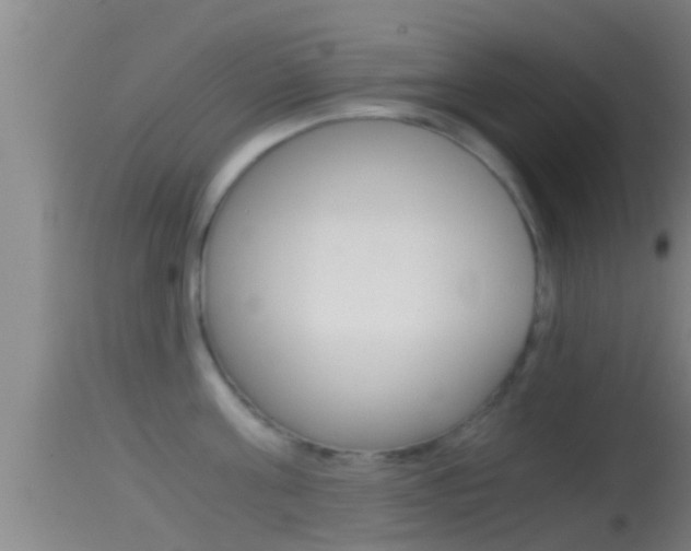 X0000114390811200910161031