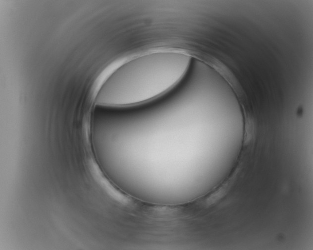 X0000114390812200910161031