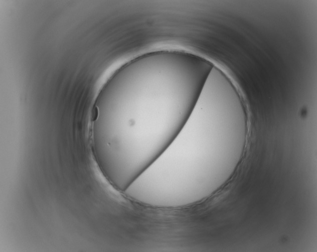 X0000114390815200910161031