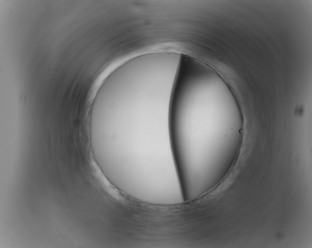 X0000114390816200910161031