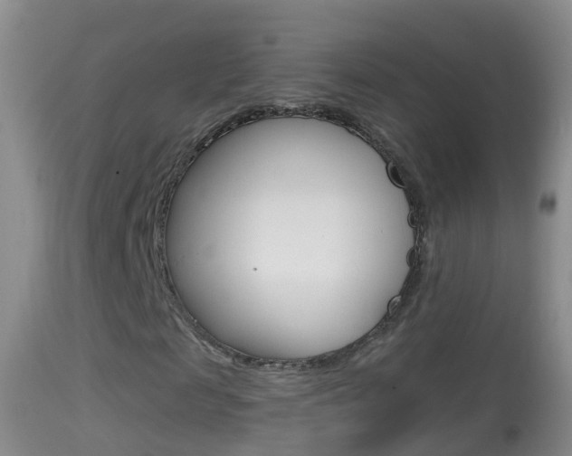 X0000114390817200910161030