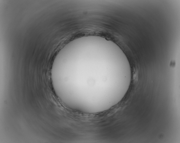 X0000114390819200910161030