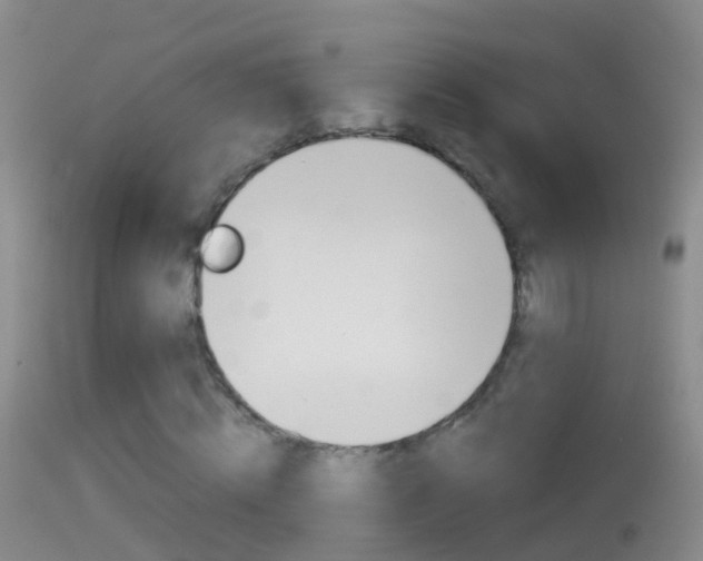 X0000114390820200910161030