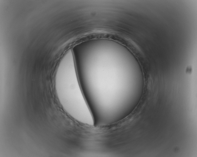 X0000114390821200910161030