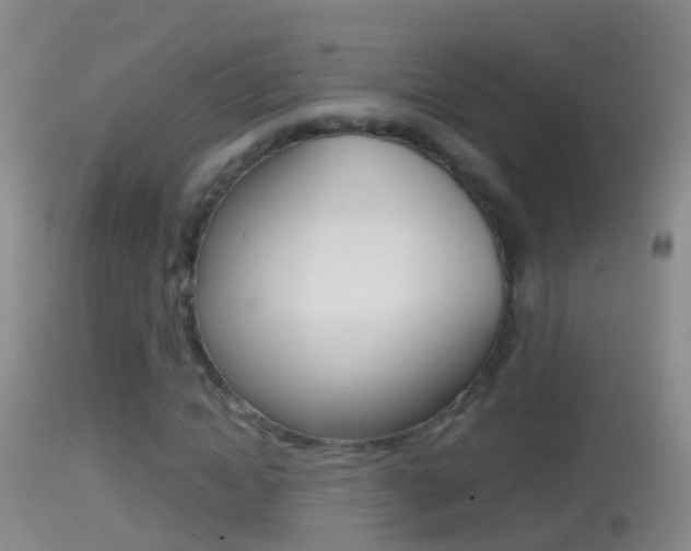 X0000114390822200910161030
