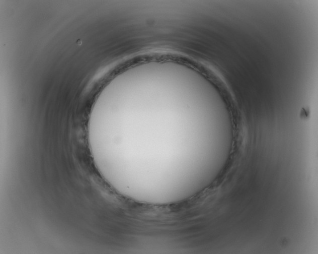 X0000114390823200910161030