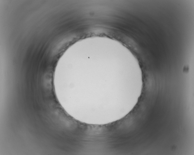 X0000114390824200910161030