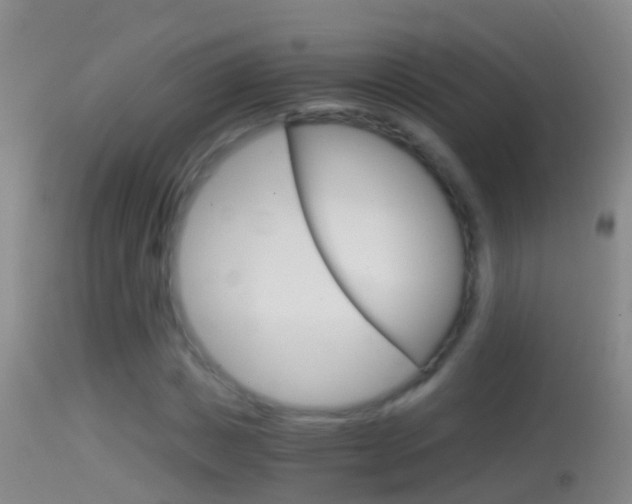 X0000114390825200910161030