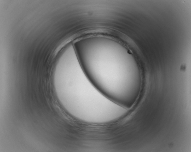 X0000114390826200910161030