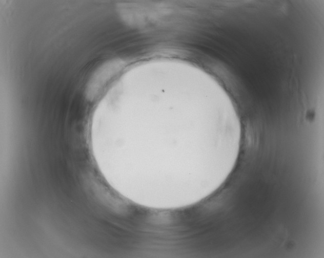 X0000114390828200910161030