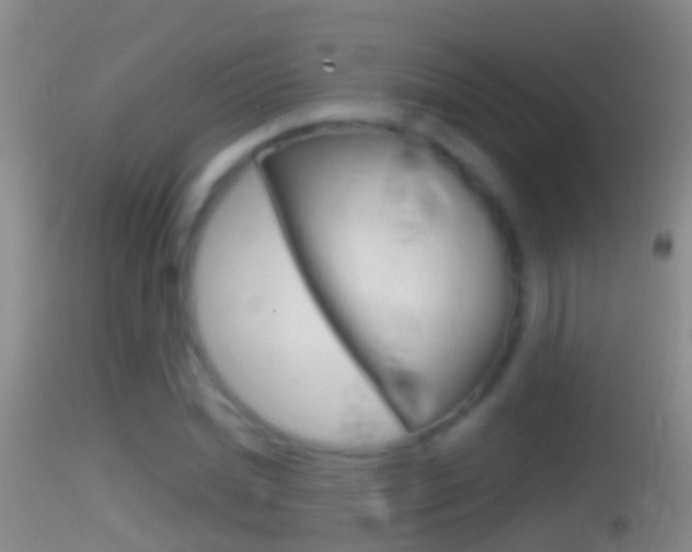 X0000114390830200910161030