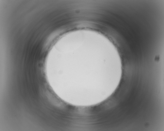X0000114390832200910161030