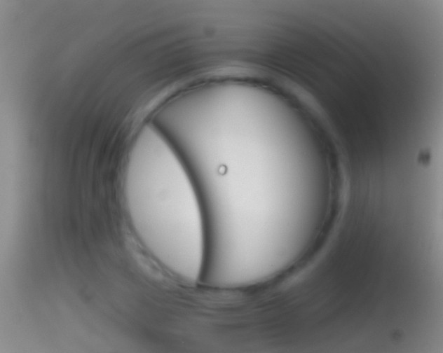 X0000114390833200910161030