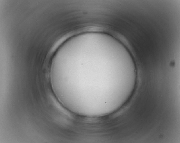 X0000114390835200910161030