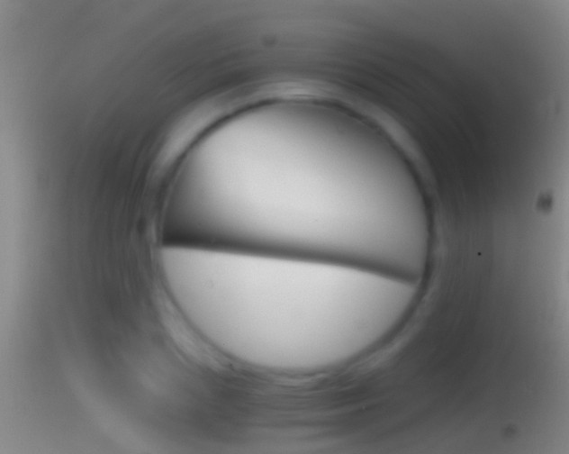 X0000114390837200910161030