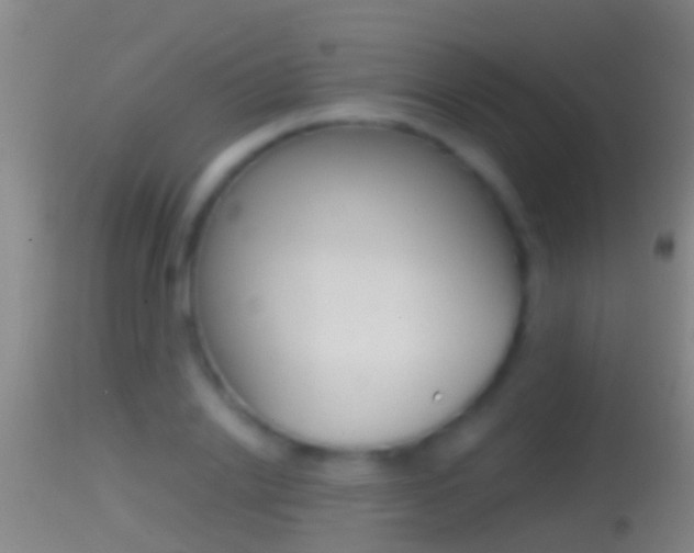 X0000114390838200910161030
