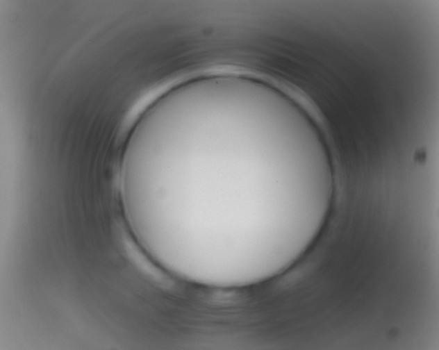 X0000114390839200910161030