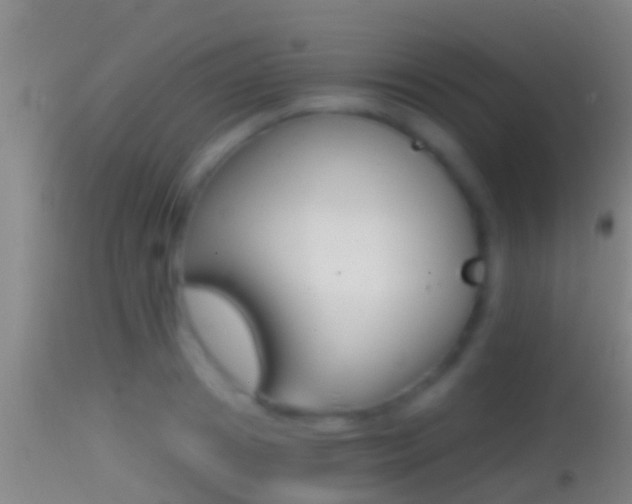 X0000114390841200910161030