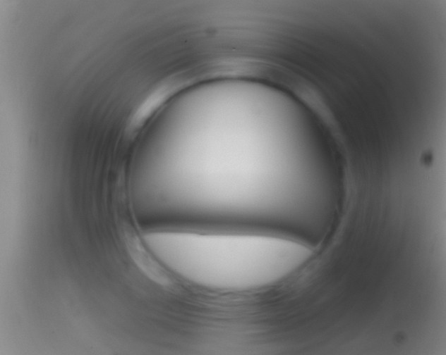 X0000114390842200910161030