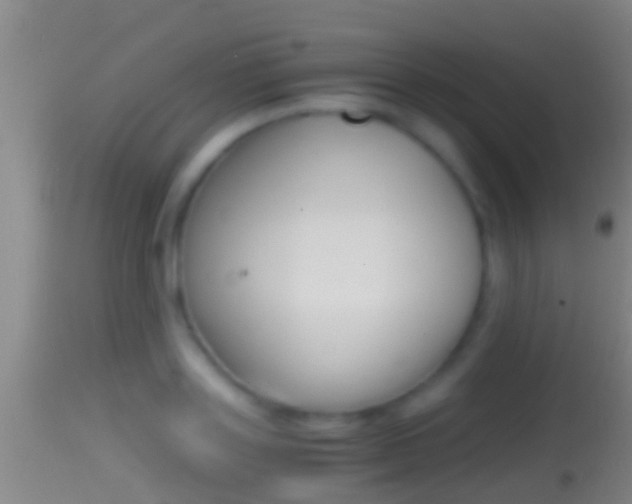 X0000114390843200910161030