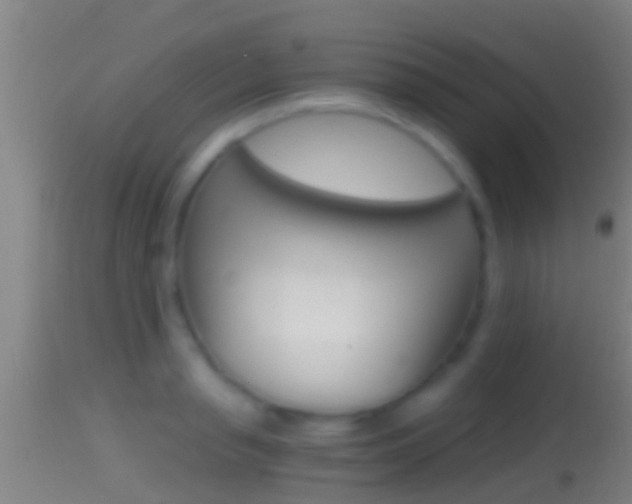 X0000114390845200910161030