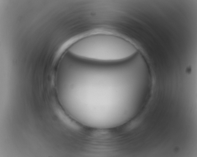 X0000114390846200910161030