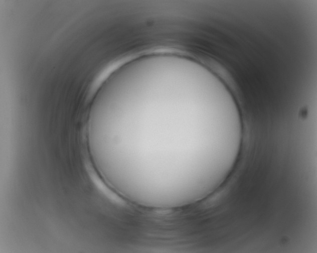 X0000114390847200910161030