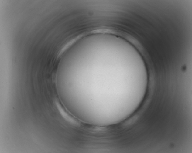 X0000114390849200910161030