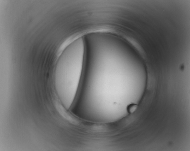 X0000114390850200910161030