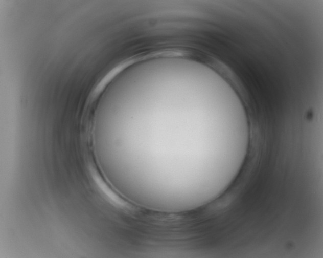 X0000114390851200910161030
