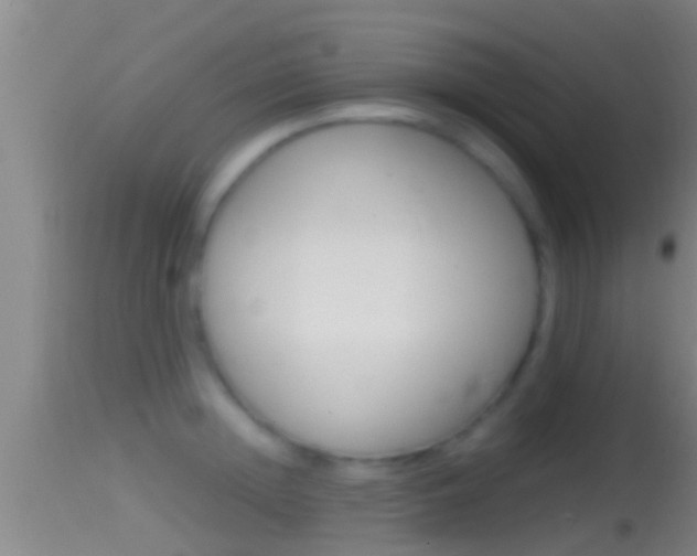 X0000114390852200910161031