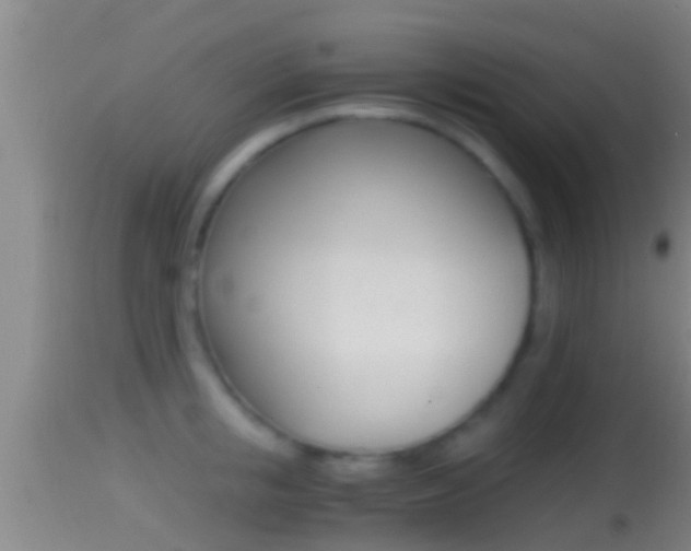 X0000114390853200910161031