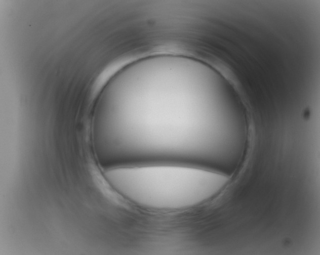 X0000114390854200910161031