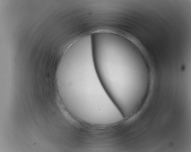 X0000114390857200910161031