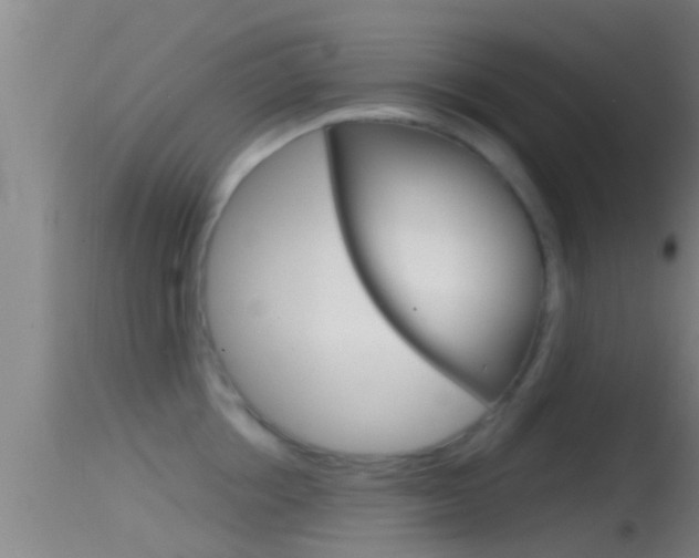 X0000114390858200910161031