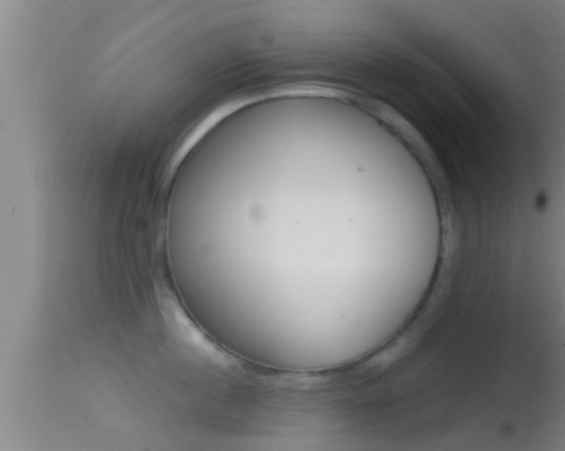 X0000114390860200910161031