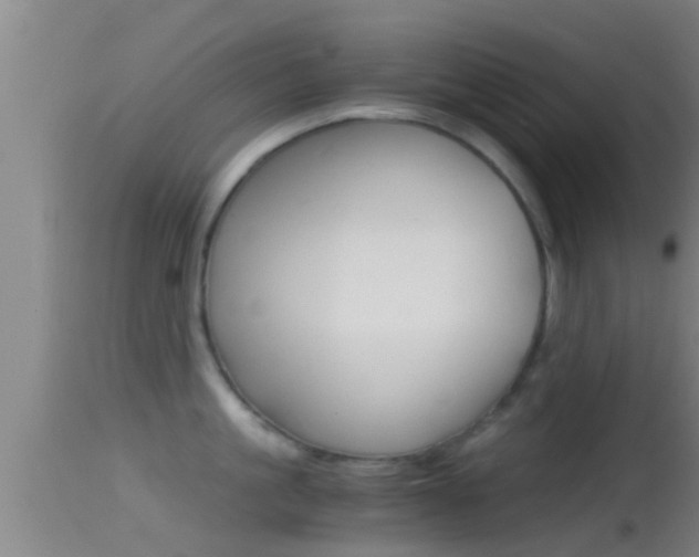 X0000114390861200910161031