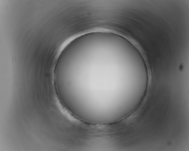 X0000114390862200910161031